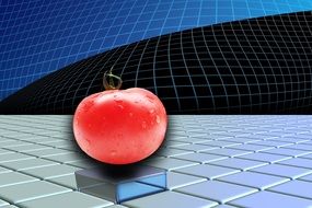 tomato on the graphic background