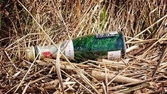 Bottle Garbage in grass