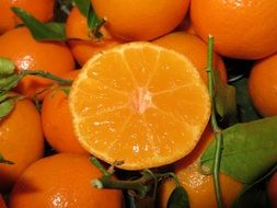 Picture of the fresh oranges