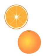 orange in a cut as a graphic image