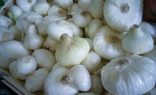 White onions from the vegetable garden