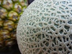 Hami Fruit