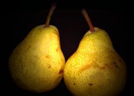 two yellow Pears in darkness