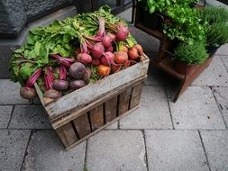 square basket with vegetables