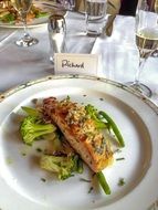 plate with salmon and broccoli