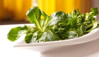 Lamb's lettuce on the plate