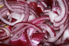 delicious Onions Salad