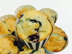 black currant muffins in tins