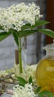 Elder Tea, flowers and jug