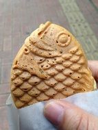 delicious Taiyaki Snack