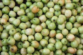 Green apples in the market