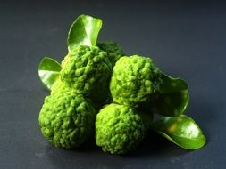 fresh Bergamot Fruits green Leaf Isolated
