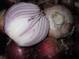 Red sliced onion