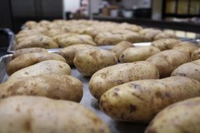 raw unpeeled Potatoes on pans in Kitchen