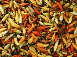 sale of vegetables in the Vietnamese market