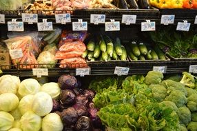 department with a large selection of vegetables in the supermarket