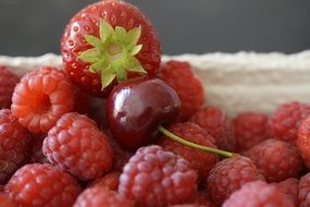 summer berries closeup