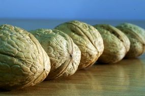 five walnuts in shell close-up