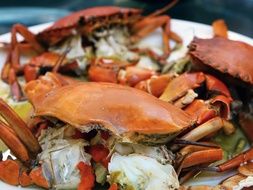 Steamed seafood in the restaurant