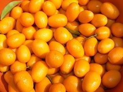 Kinotos, ripe Citrus Fruits