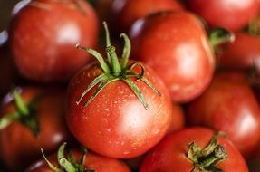 ripe tomatoes for salad