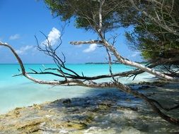 island in the maldives