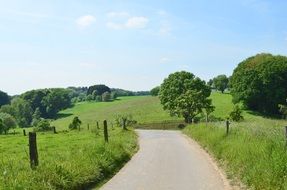 rural road among green summer landscape