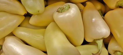 Caribe Peppers close up
