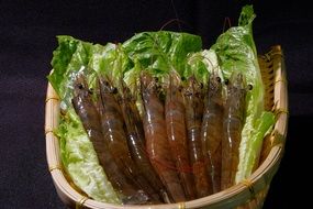 Premium Shrimp