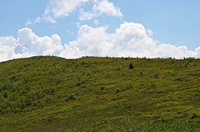 green bieszczady mountains