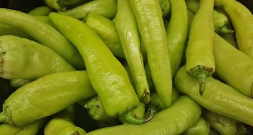 green hungarian wax peppers