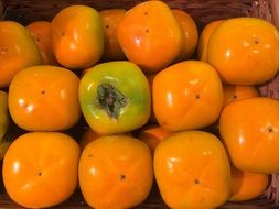 orange Persimmon Autumn Fruit