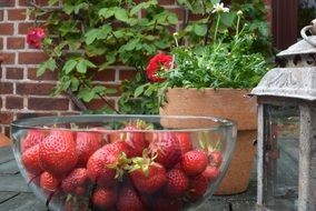 red strawberries in a glass bowl on the table