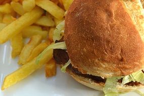 Hamburger with the french fries