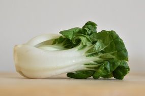 Bok Choy Vegetable