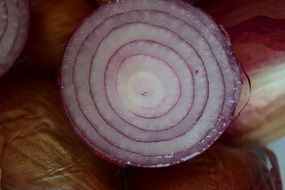 section of a red onion