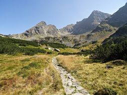 path near Mountains Panorama View