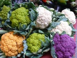 variety of colorful cauliflower