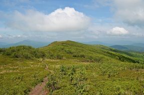 hiking path in Bieszczady mountains