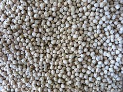 chickpeas for vegetarians