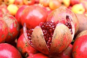 pomegranate is a summer harvest
