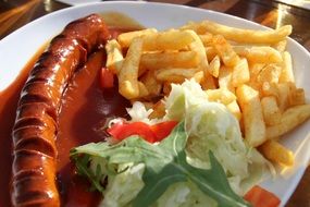 french fries with salad on a plate