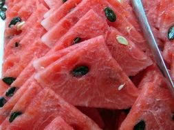 Red watermelon slices