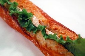 cheese and herbs sandwich