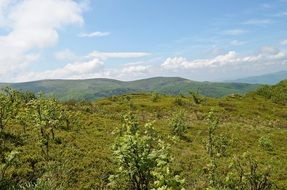 green landscape of Bieszczady mountains