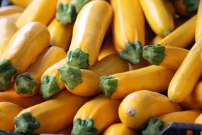 Yellow Squash Vegetables