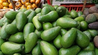 ripe green avocados on the market