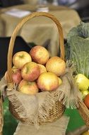 apples in a basket as an autumn harvest