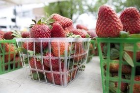 fresh Strawberries in plastic baskets