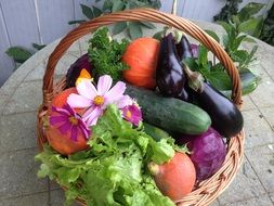 Harvest Vegetables basket cucumbers salad